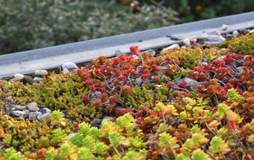 the cost of Red Lake green roof installation