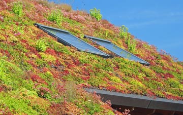 Red Lake living roof systems